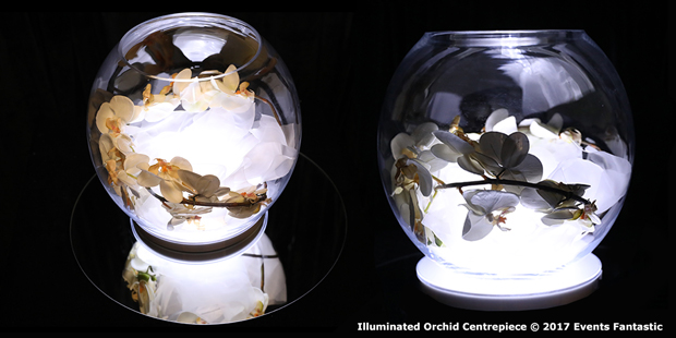 Fish bowl vase with illuminated orchids