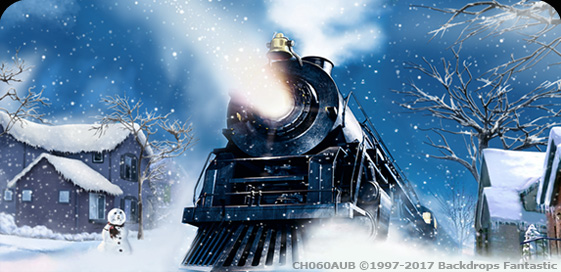 Polar Express Party Drop|Polar Express Backdrop CH060AU Party Backdrop Backdrops Fantastic Australia