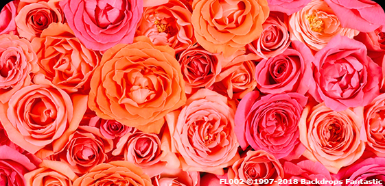 Pink and Peach Floral Backdrops