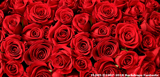 Close-up of numerous red roses arranged closely together, showing detailed petals and lush blooms, perfect for a vibrant party backdrop.