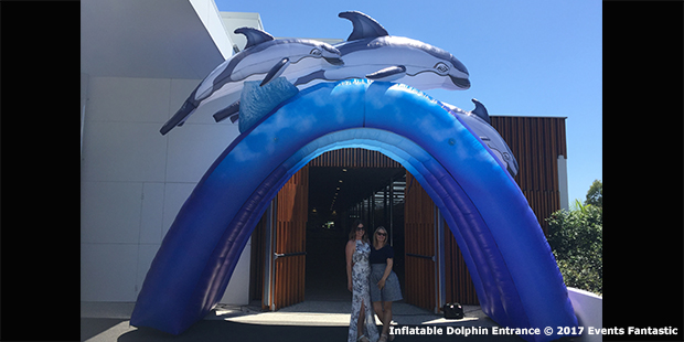 Inflatable Dolphin Arch|Inflatable Dolphin Arch|Inflatable Dolphin Arch|Inflatable Dolphin Arch