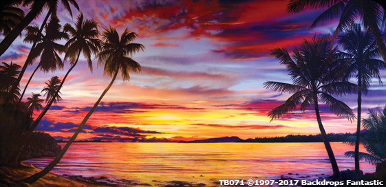 Tropical Beach Backdrops with Setting sun and silhouette palm trees against the ocean