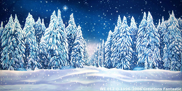 winter wonderland backdrop - Winterwonderland theme