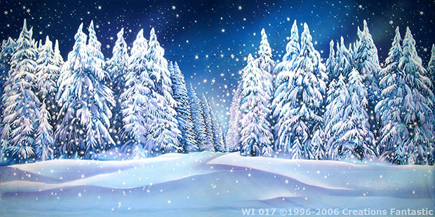 winter wonderland backdrop - Winterwonderland theme