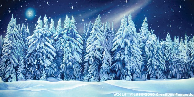 Winter Wonderland 10