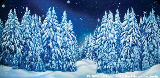 Winterwonderland Theme - winter wonderland backdrop