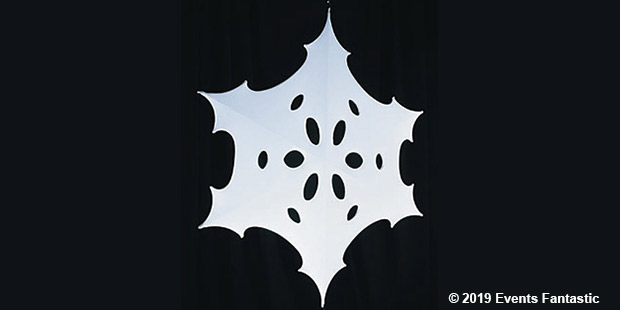 Giant 2D Snowflakes Event product image