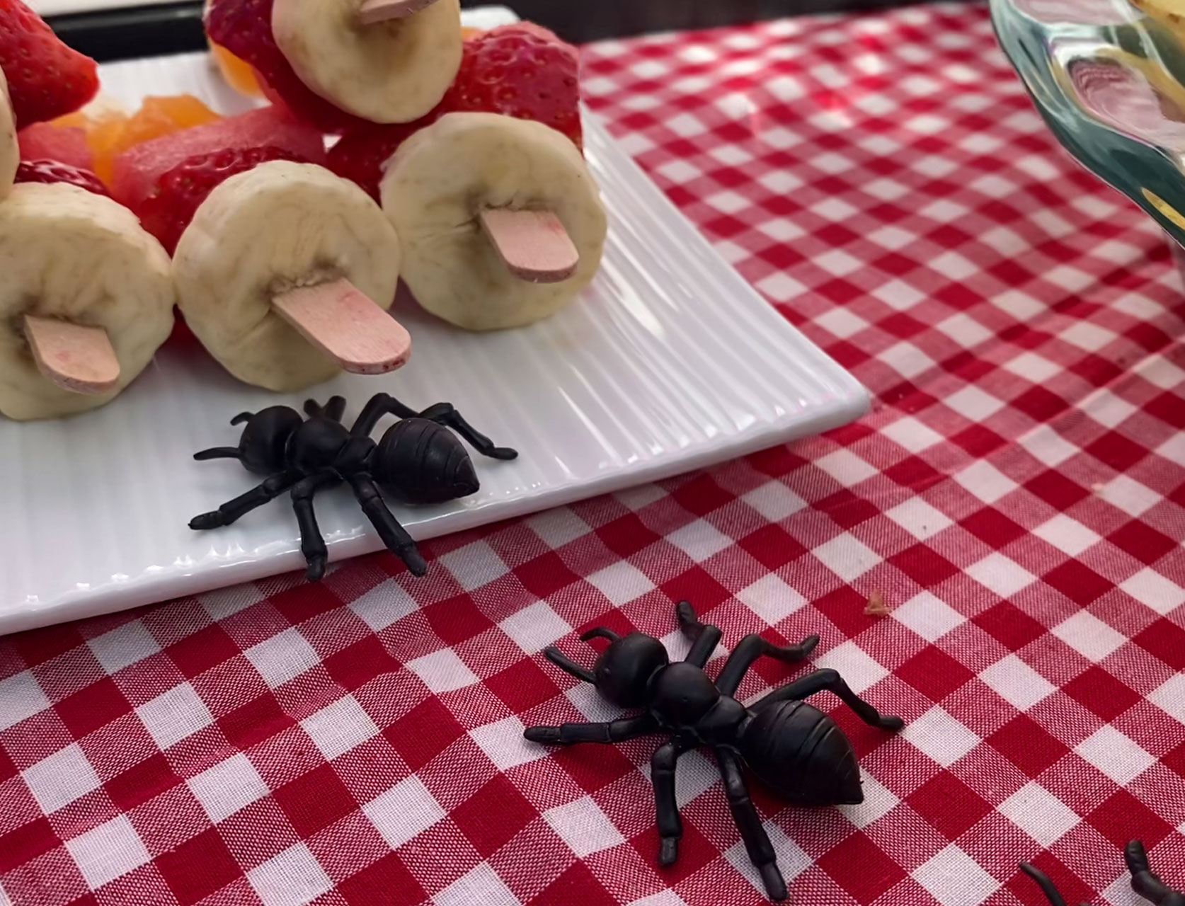 Picnic ant theme decor