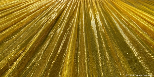 Gold Microdot Drapes Looking Up the Drape