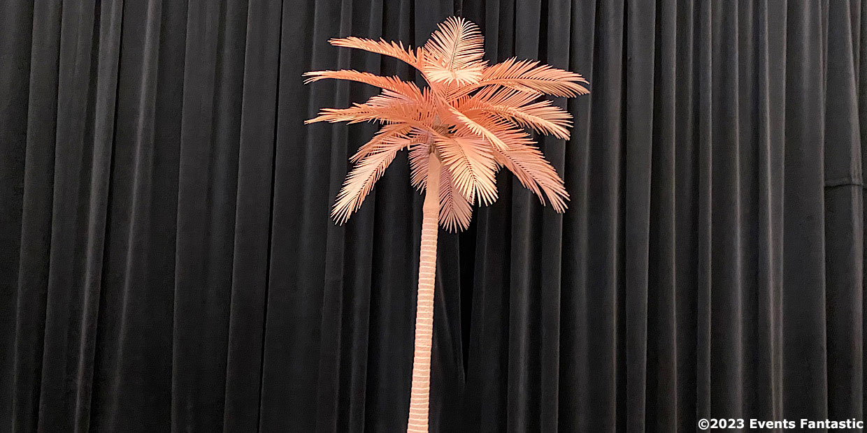 Pink Palm Tree 2.7m tall