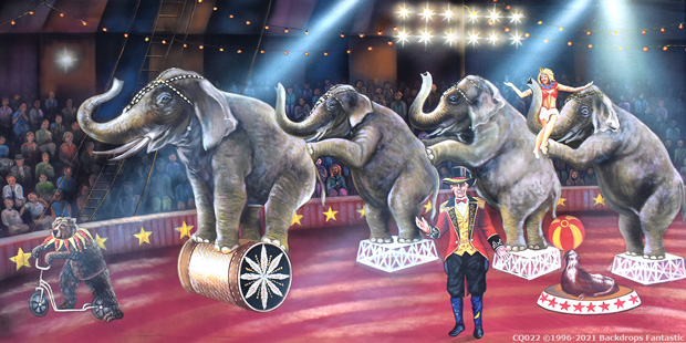 Under the vibrant Big Top, elephants perform tricks on stands and a rolling drum in the circus ring. The ringmaster orchestrates as a seal balances a ball and a bear rides a scooter, captivating every spectator.