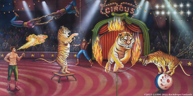 Under the vibrant Big Top, acrobats soar gracefully as tigers leap through hoops and balance on balls. A daring performer breathes fire, captivating the crowd beneath the kaleidoscope of colorful lights.
