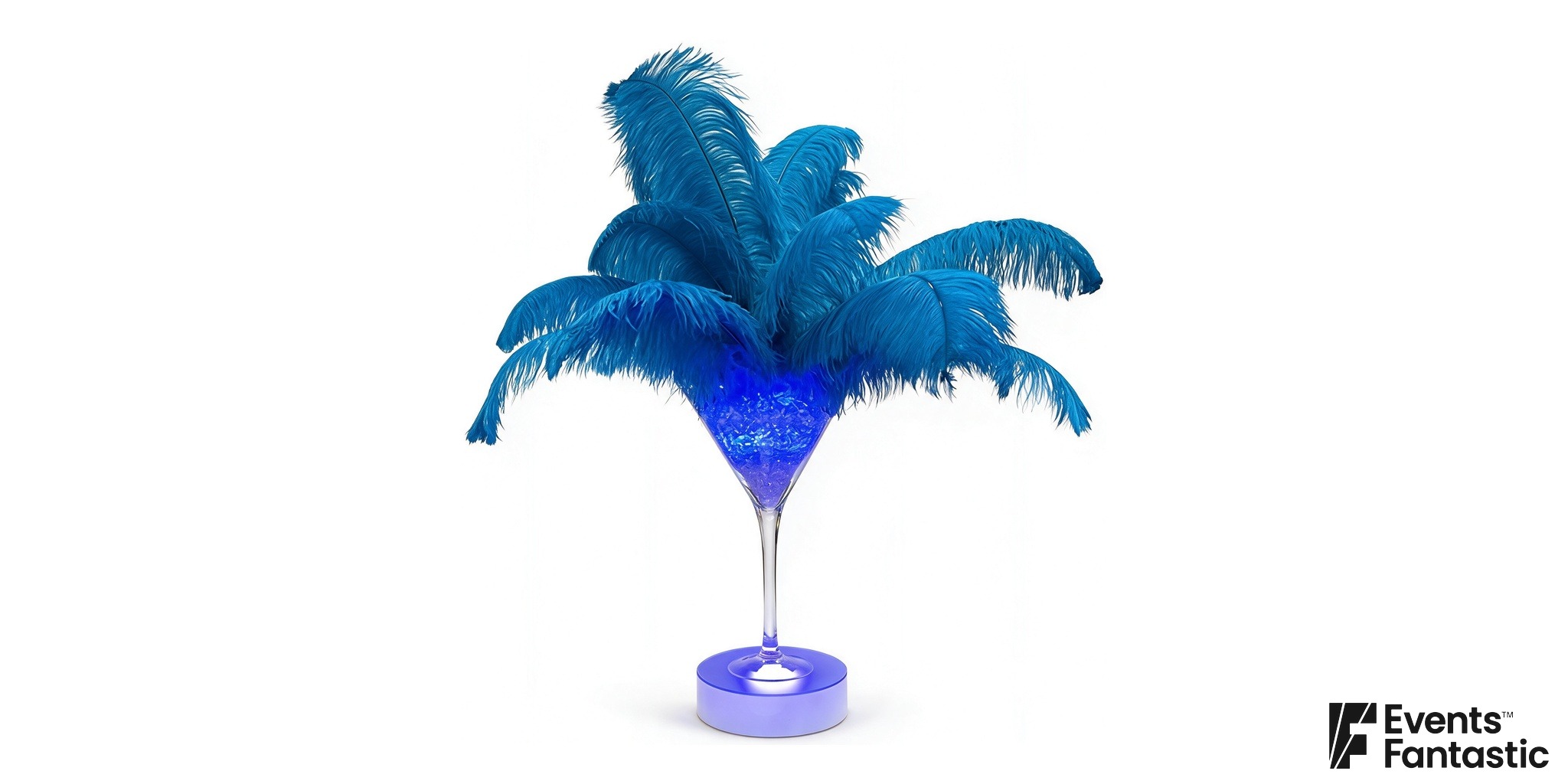 Coloured Feather Centrepiece