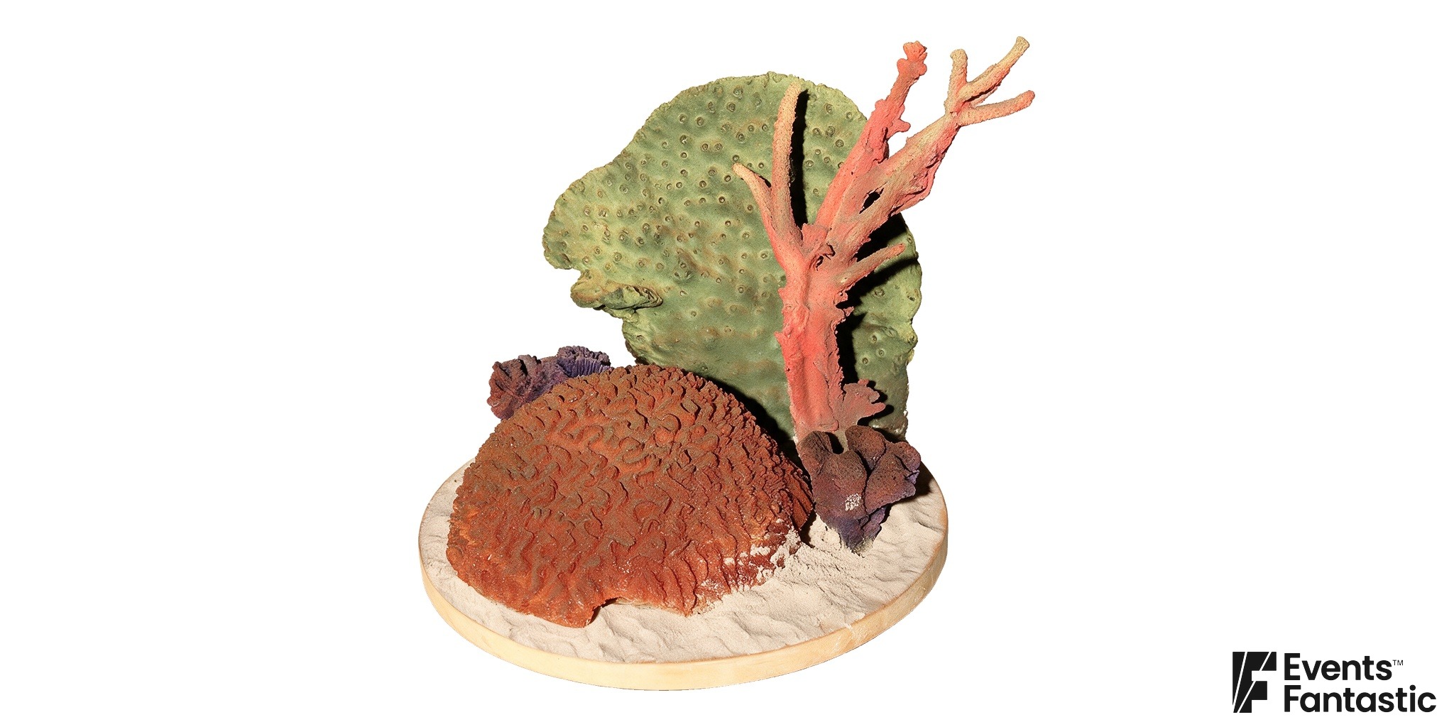 Coral Table Centrepiece