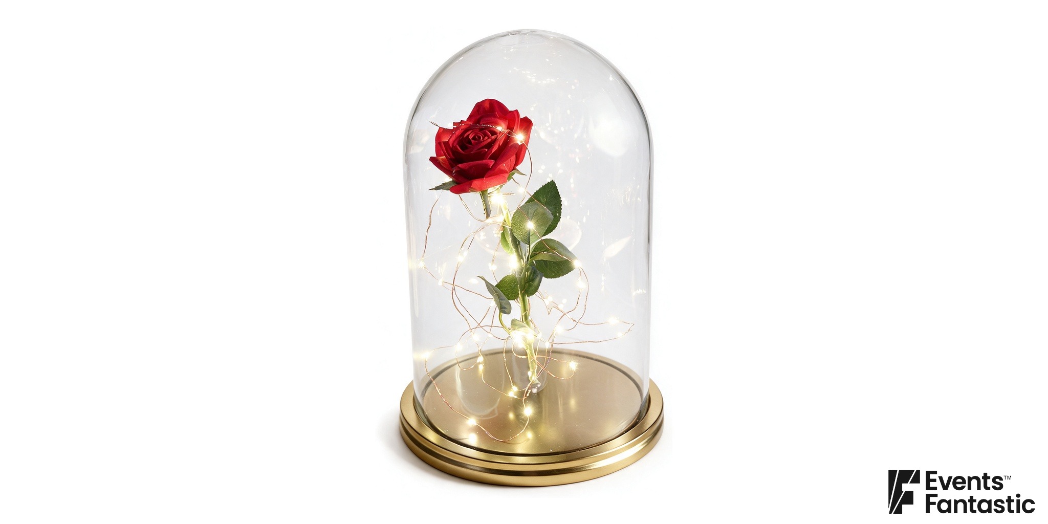 Rose Cloche Centrepiece