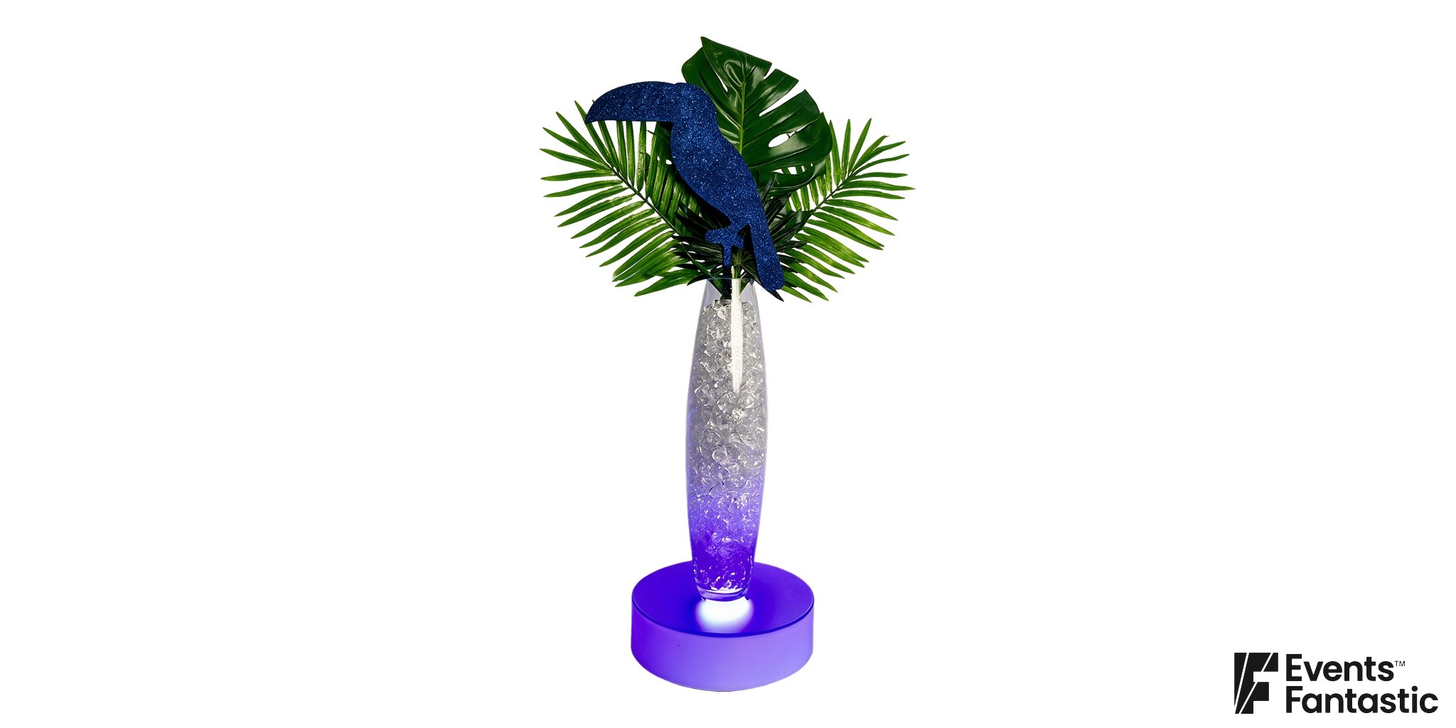 Toucan Centrepiece