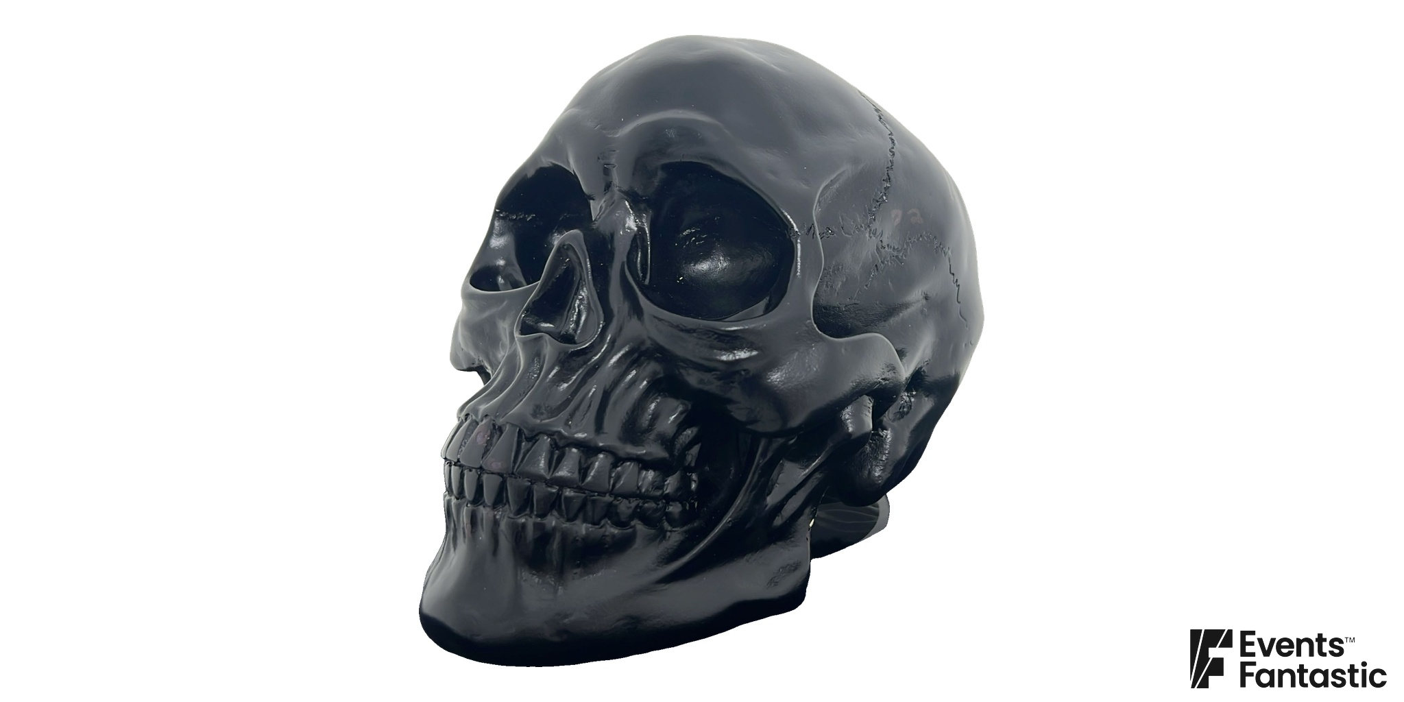 Gloss black skull sculpt with deep eye sockets, pronounced cheekbones and individually modelled teeth.